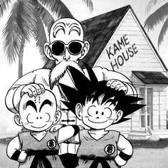 Roshi, Goku y Krilin